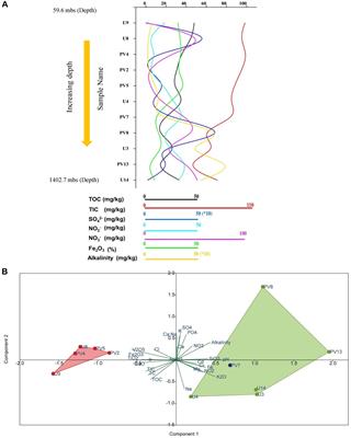 Archaeal Communities in Deep Terrestrial Subsurface Underneath the Deccan Traps, India